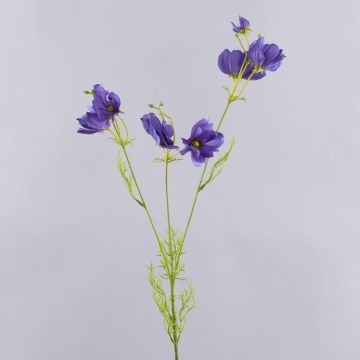 Ramo decorativo con corioli HISSAN, viola scuro, 75 cm Ramo decorativo con corioli HISSAN, viola scuro, 75 cm