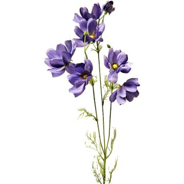 Ramo decorativo con corioli HISSAN, viola scuro, 75 cm