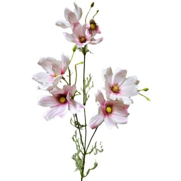 Ramo decorativo con corioli HISSAN, rosa chiaro, 75 cm