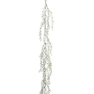Ghirlanda artificiale timo ETZION, congelata, verde-bianca, 180 cm Ghirlanda artificiale timo ETZION, congelata, verde-bianca, 180 cm