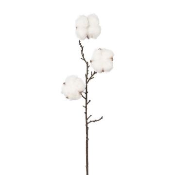 Ramo decorativo cotone SKLAVAN con frutti, bianco, 45 cm Ramo decorativo cotone SKLAVAN con frutti, bianco, 45 cm