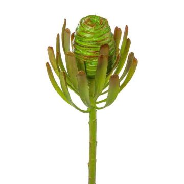 Fiore artificiale albero argentato GROVEN, verde, 50 cm