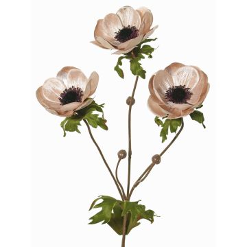 Ramo di anemone in velluto WINFAS, rosa pallido, 75cm, Ø9-11cm Ramo di anemone in velluto WINFAS, rosa pallido, 75cm, Ø9-11cm