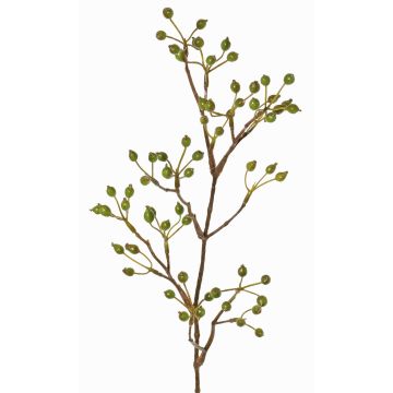 Ramo decorativo di rosa selvatica HIKERNO con bacche di rosa canina, verde, 60cm