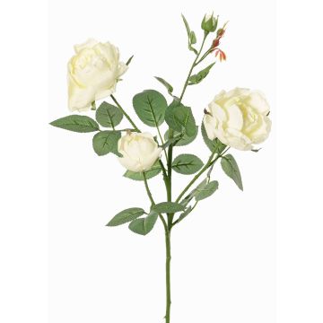 Ramo di rosa artificiale DIAMANTIS, crema, 70 cm, Ø 5-8 cm Ramo di rosa artificiale DIAMANTIS, crema, 70 cm, Ø 5-8 cm