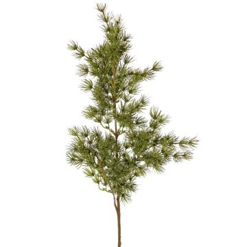 Ramo artificiale di asparagus umbellatus DIKERNO, verde, 75 cm