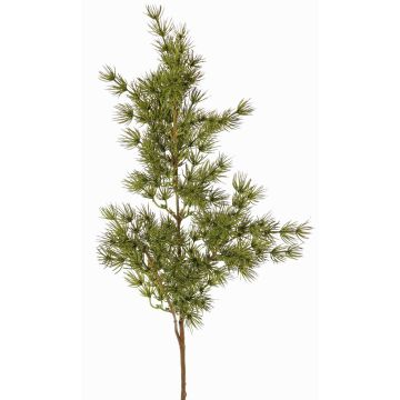Ramo artificiale di asparagus umbellatus DIKERNO, verde, 75cm