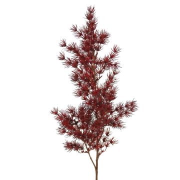 Ramo artificiale di Asparagus umbellatus DIKERNO, rosso bordeaux, 75 cm