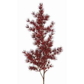 Ramo artificiale di Asparagus umbellatus DIKERNO, rosso bordeaux, 75cm