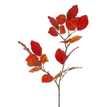 Ramo decorativo di faggio LOPERDY, rosso-arancio, 70 cm