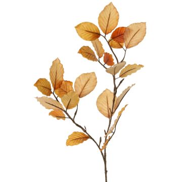 Ramo decorativo di faggio LOPERDY, marrone chiaro, 70cm Ramo decorativo di faggio LOPERDY, marrone chiaro, 70cm