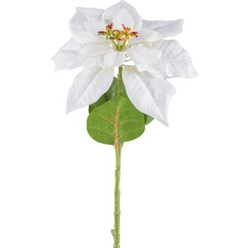 Fiore artificiale stella di Natale JORTI, bianco, 60cm