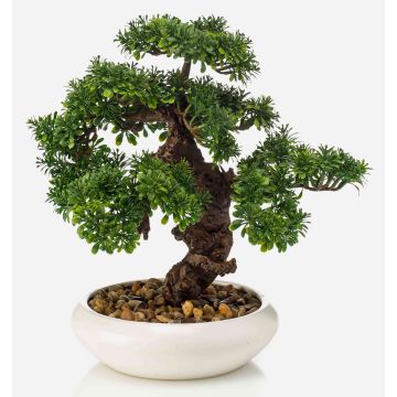Bonsai artificiale Ficus MIRSANDA in vaso bonsai, 35cm