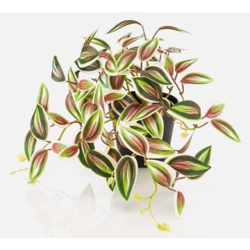 Pianta artificiale Tradescantia zebrina DIHALLO in vaso decorativo, verde-rosso, 19 cm