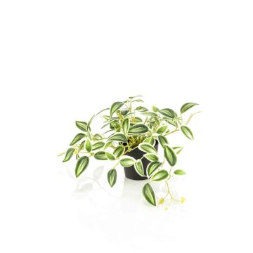 Pianta artificiale Tradescantia zebrina DIHALLU in vaso decorativo, verde-bianco, 19 cm
