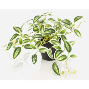 Pianta artificiale Tradescantia zebrina DIHALLO in vaso decorativo, verde-bianco, 19 cm