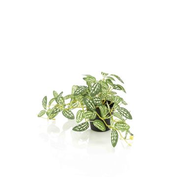 Pianta artificiale di pepe nano MIHALLA in vaso decorativo, verde-bianco, 19 cm