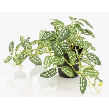 Pianta artificiale di pepe nano MIHALLA in vaso decorativo, verde-bianco, 19 cm