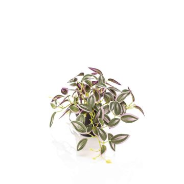 Pianta artificiale Tradescantia zebrina DIHALLU in vaso decorativo, verde-lilla, 19 cm