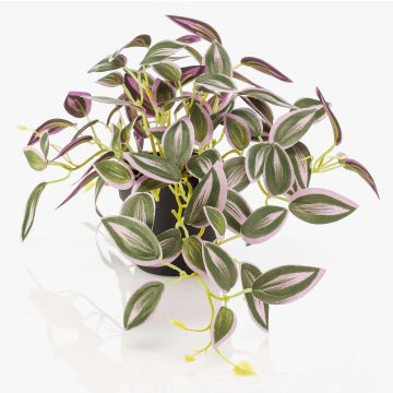 Pianta artificiale Tradescantia zebrina DIHALLO in vaso decorativo, verde-lilla, 19 cm
