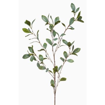 Ramo artificiale eucalipto MERKAN, verde-grigio, 90 cm