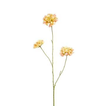 Ramo decorativo Scabiosa DIHALLY, giallo-pesca, 80 cm Ramo decorativo Scabiosa DIHALLY, giallo-pesca, 80 cm