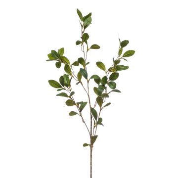 Ramo decorativo Rusco LOVRIS con fiori, verde-giallo, 90 cm