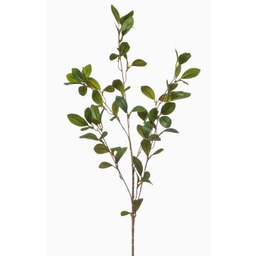 Ramo decorativo Rusco LOVRIS con fiori, verde-giallo, 90 cm