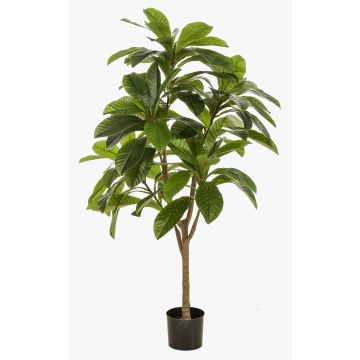 Albero artificiale Frangipani MORSHA, tronco artificiale, verde, 145 cm