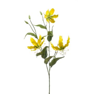 Ramo decorativo Gloriosa TROFEL, giallo-verde, 90 cm