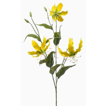 Ramo decorativo Gloriosa TROFEL, giallo-verde, 90 cm