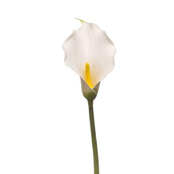 Calla artificiale KIVARP, bianca, 85 cm