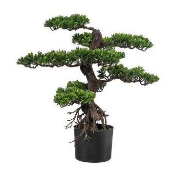 Albero artificiale bonsai pianta del tè KEFIEL con radici, 65 cm Albero artificiale bonsai pianta del tè KEFIEL con radici, 65 cm