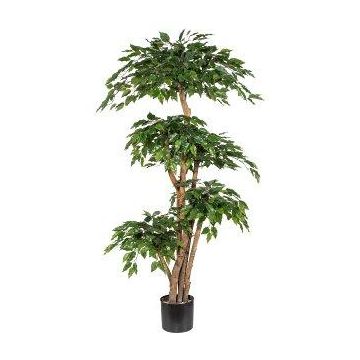 Albero artificiale ficus benjamini WALNUTA, tronchi naturali, 170 cm Albero artificiale ficus benjamini WALNUTA, tronchi naturali, 170 cm