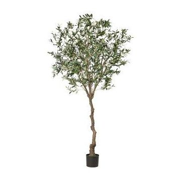 Olivo artificiale WILDO, tronco artificiale, frutti, 240 cm