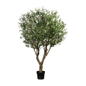 Olivo artificiale YUKON con frutti, tronco artificiale, 240 cm