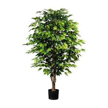 Albero artificiale Ficus Benjamini ARNOMO, tronchi naturali, 150 cm Albero artificiale Ficus Benjamini ARNOMO, tronchi naturali, 150 cm