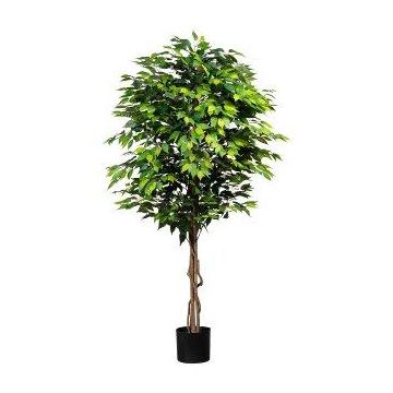 Albero artificiale Ficus Benjamini ARNOMO, tronchi naturali, 180 cm Albero artificiale Ficus Benjamini ARNOMO, tronchi naturali, 180 cm