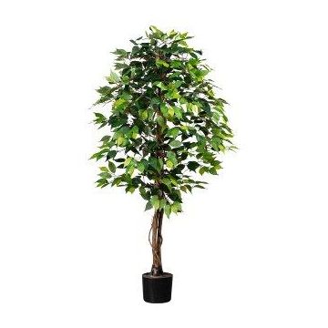 Albero decorativo Ficus Benjamini ONIN, tronchi naturali, 150 cm Albero decorativo Ficus Benjamini ONIN, tronchi naturali, 150 cm