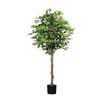 Albero decorativo Ficus Benjamini ONIN, tronchi naturali, 180 cm Albero decorativo Ficus Benjamini ONIN, tronchi naturali, 180 cm