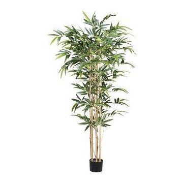 Albero artificiale Bambù KAVIR, tronchi naturali, 150 cm
