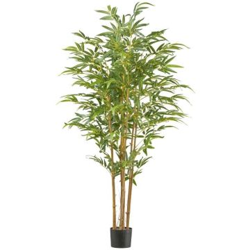 Albero artificiale Bambù giapponese IRTWA, tronchi naturali, crossdoor, 180 cm