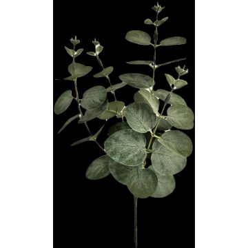 Ramo artificiale di eucalipto ERINDALS, verde-grigio, 60 cm