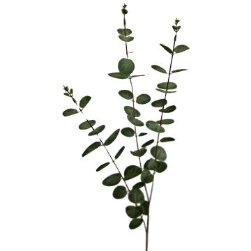 Ramo artificiale di eucalipto ERINDALS, verde-grigio, 90 cm