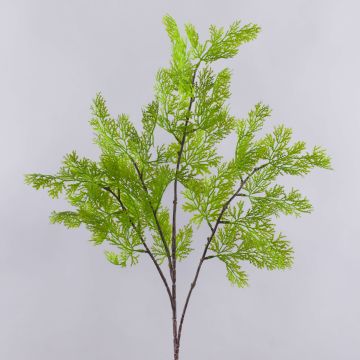 Ramo decorativo di tuia BIRLAF, verde-giallo, 85 cm