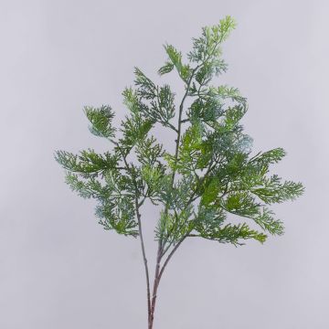 Ramo decorativo di tuia BIRLAF, verde-grigio, 85cm