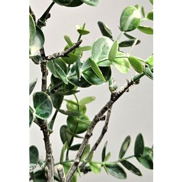 Ramo artificiale eucalipto NEKFAR, verde-grigio, 60 cm