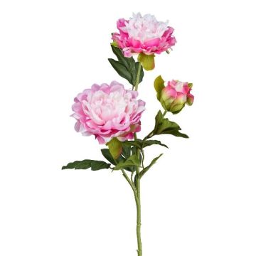 Ramo di fiori artificiali peonia SLORMEK, rosa-bianco, 65 cm Ramo di fiori artificiali peonia SLORMEK, rosa-bianco, 65 cm