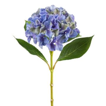 Fiore artificiale ortensia FUSTRAL, blu, 65 cm