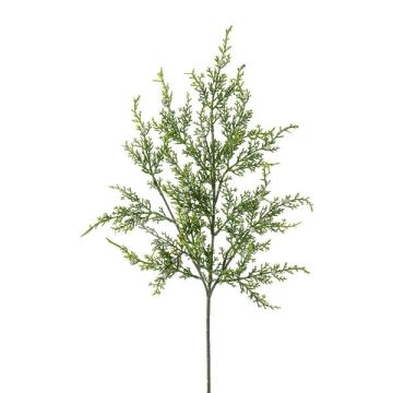 Ramo decorativo ginepro TRALVE, verde, 60 cm